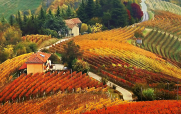 Картинка природа поля пейзаж