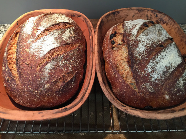 Обои картинки фото еда, хлеб,  выпечка, хлебушек