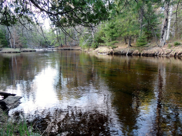 Обои картинки фото природа, реки, озера, отражение, река, вода