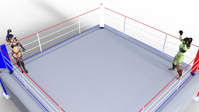 Обои картинки фото 3д графика, спорт , sport, бокс, фон, взгляд, девушки