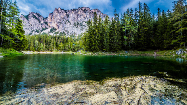 Обои картинки фото природа, реки, озера, река, лес