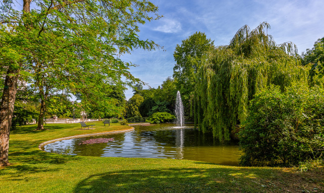 Обои картинки фото природа, парк, простор