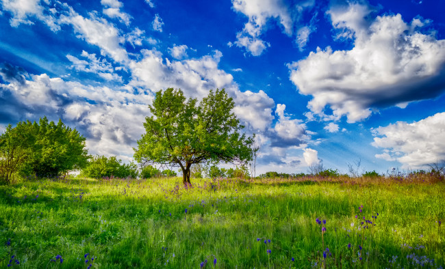 Обои картинки фото природа, пейзажи, простор