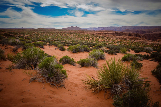 Обои картинки фото природа, пустыни, простор