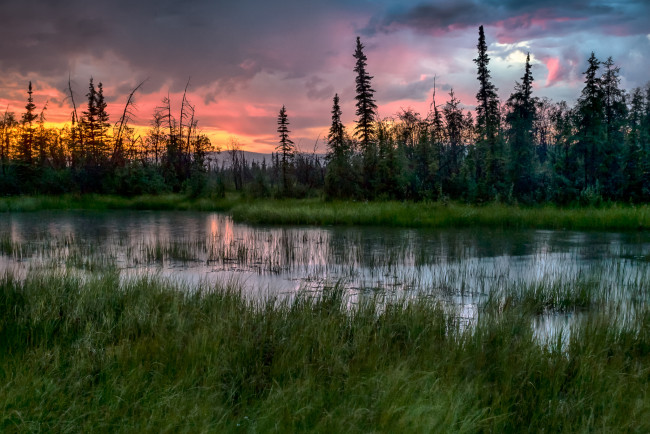 Обои картинки фото природа, реки, озера, лес, река