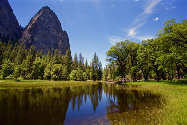 Обои картинки фото природа, реки, озера, лес, река