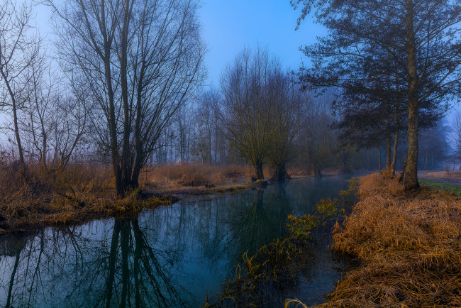 Обои картинки фото природа, реки, озера, лес, река