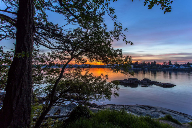 Обои картинки фото природа, реки, озера, река, лес