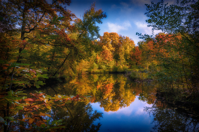 Обои картинки фото природа, реки, озера, река, лес