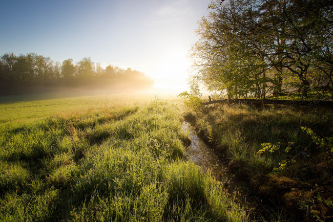 Обои картинки фото природа, восходы, закаты, ruissalo, finland, утро, turku, proper, финляндия, рассвет