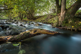 Картинка природа реки озера простор