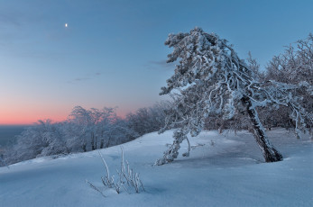 Картинка природа зима простор