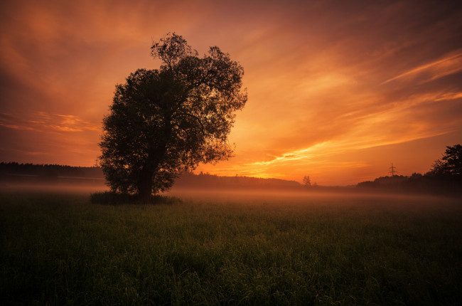 Обои картинки фото природа, восходы, закаты, простор