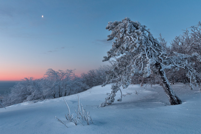 Обои картинки фото природа, зима, простор