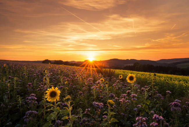 Обои картинки фото природа, восходы, закаты, простор