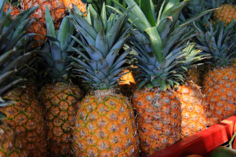 Картинка еда ананас много