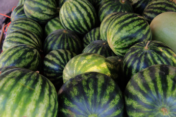 Картинка еда арбуз много