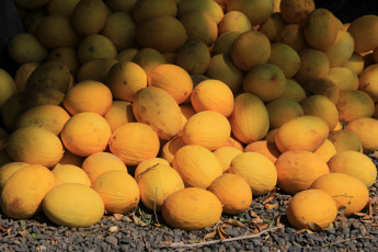 Картинка еда дыня много