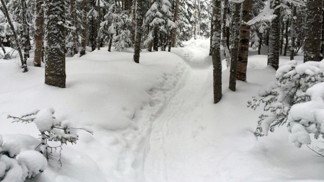 Обои картинки фото природа, зима, тропа, снег