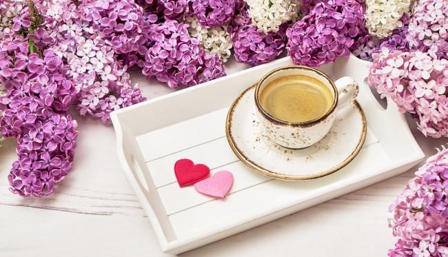 Обои картинки фото еда, кофе,  кофейные зёрна, сердечки, сирень