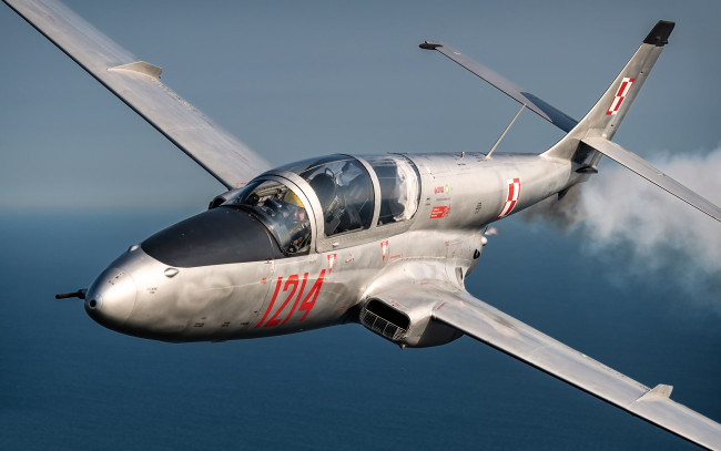 Обои картинки фото авиация, боевые самолёты, pzl, ts-11, iskra, самолёт