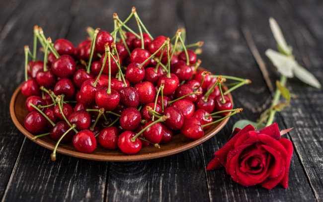 Обои картинки фото еда, вишня,  черешня, роза, черешня