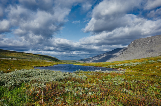 Обои картинки фото югыд- ва, природа, пейзажи, облака, небо, озеро, коми, югыд-, ва