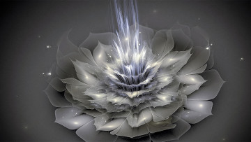 Картинка 3д+графика цветы+ flowers цветок