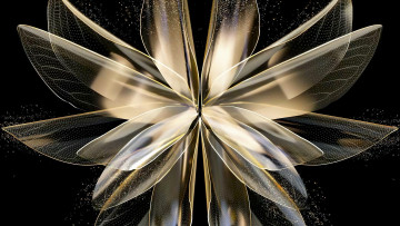 Картинка 3д+графика цветы+ flowers цветок лепестки крылья пыльца