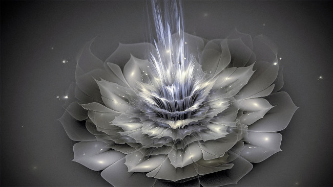 Обои картинки фото 3д графика, цветы , flowers, цветок