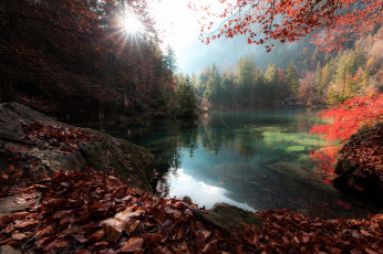 Картинка природа реки озера озеро