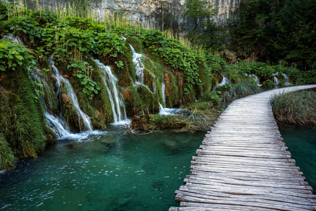 Обои картинки фото plitvice lakes national park, природа, водопады, plitvice, lakes, national, park