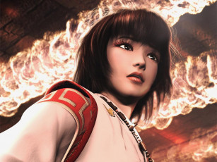 Картинка ninja gaiden видео игры