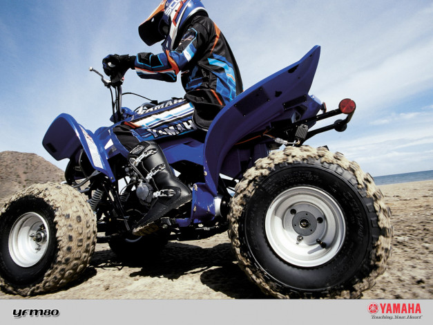 Обои картинки фото yfm80, мотоциклы, квадроциклы