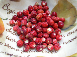 Картинка еда клубника земляника