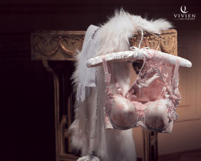 Картинка бренды vivien