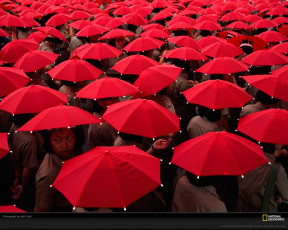 Картинка разное люди