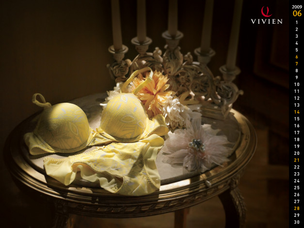 Обои картинки фото бренды, vivien