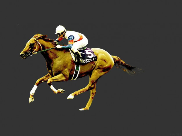 Обои картинки фото спорт, конный