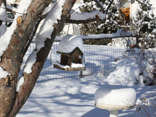 Картинка природа зима кормушка