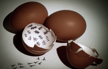 Картинка юмор приколы скорлупа яйца метки следы