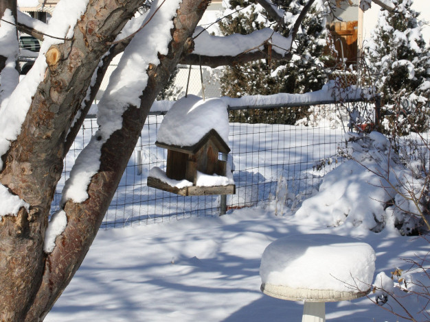 Обои картинки фото природа, зима, кормушка