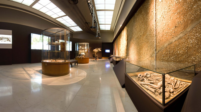 Обои картинки фото интерьер, дворцы, музеи, музей