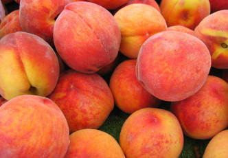 Картинка еда персики сливы абрикосы