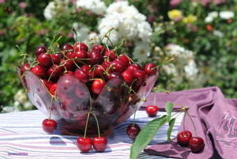 Картинка еда вишня черешня миска лето