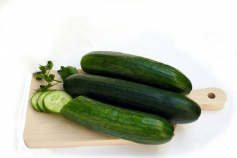 Картинка еда огурцы