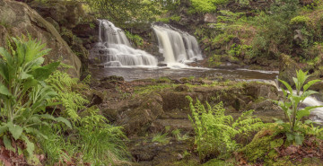 Картинка water ark foss north york moors england природа водопады англия каскад