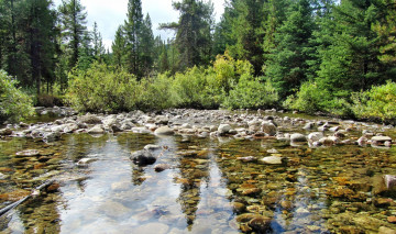 Картинка природа реки озера лес речка камни деревья кустарник