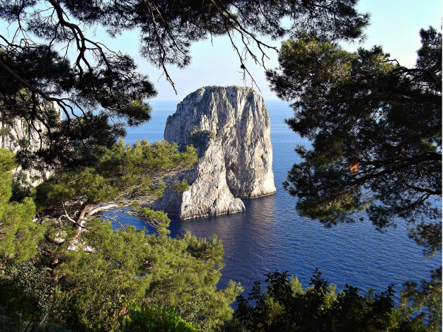 Обои картинки фото капри, природа, побережье, деревья, море, скалы