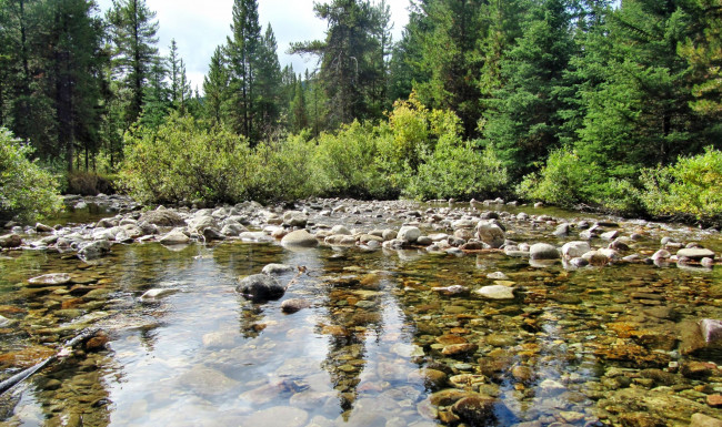 Обои картинки фото природа, реки, озера, лес, речка, камни, деревья, кустарник